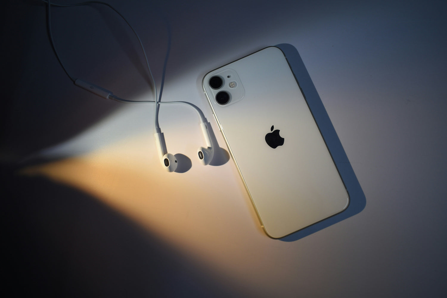 Earphones